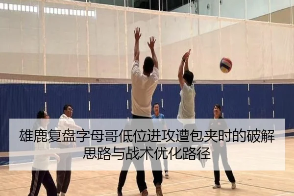 雄鹿复盘字母哥低位进攻遭包夹时的破解思路与战术优化路径