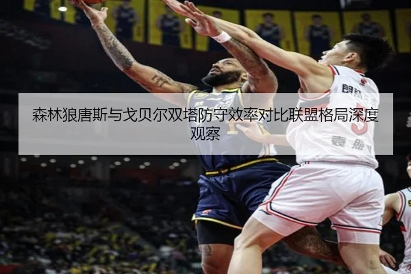 森林狼唐斯与戈贝尔双塔防守效率对比联盟格局深度观察